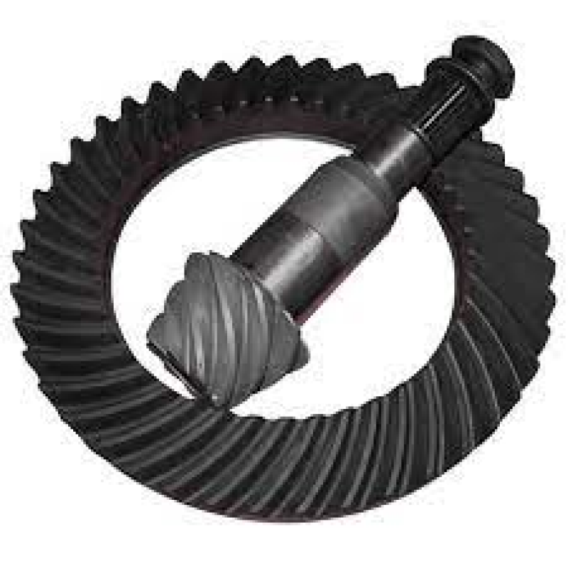 Coroa Pinhao 7x40 Mb - 14mm Rex Cinpal