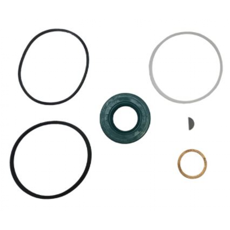 Reparo Bomba Hidraulica Mb - Zf Zf