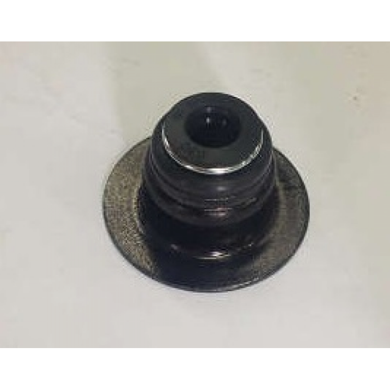Retentor Haste Valvula Vw/fd - Cummins Isc 8.3 Spaal